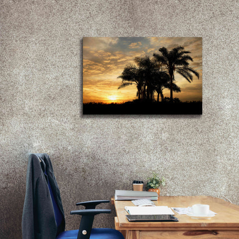 Image of 'Everglades Sunrise' by Mike Jones, Giclee Canvas Wall Art,40 x 26