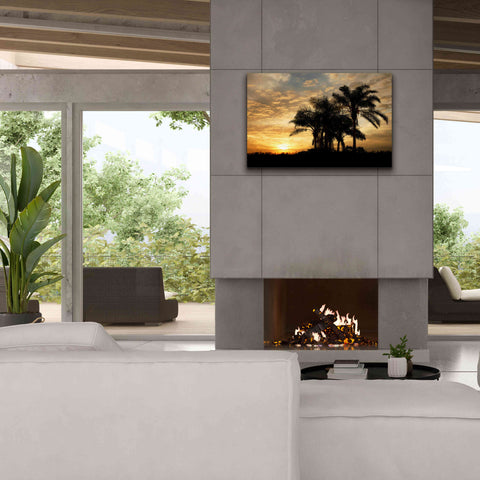 Image of 'Everglades Sunrise' by Mike Jones, Giclee Canvas Wall Art,40 x 26