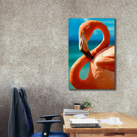 Image of 'Flamingo' by Mike Jones, Giclee Canvas Wall Art,26 x 40