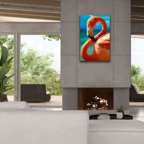 Image of 'Flamingo' by Mike Jones, Giclee Canvas Wall Art,26 x 40