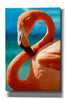 'Flamingo' by Mike Jones, Giclee Canvas Wall Art