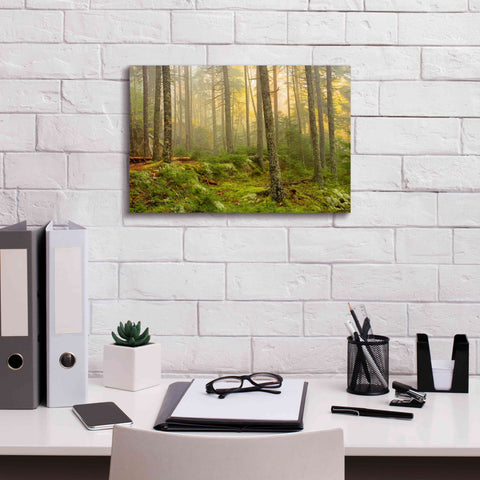Image of 'Foggy Fire Woods' by Mike Jones, Giclee Canvas Wall Art,18 x 12