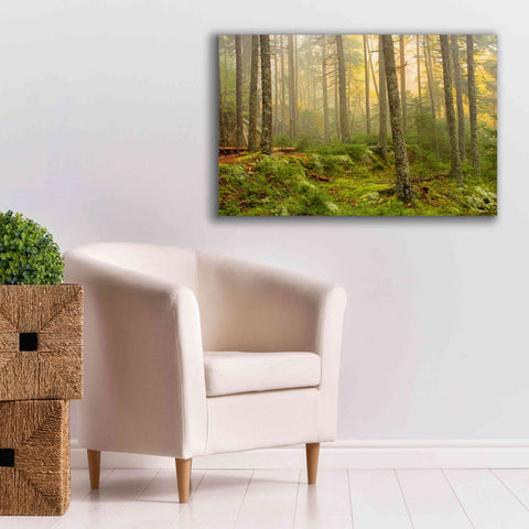 Image of 'Foggy Fire Woods' by Mike Jones, Giclee Canvas Wall Art,40 x 26