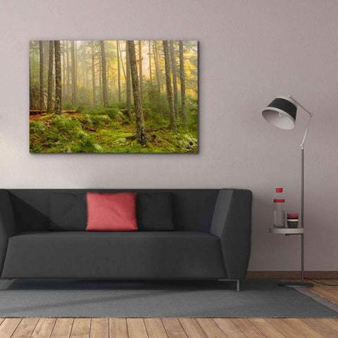 Image of 'Foggy Fire Woods' by Mike Jones, Giclee Canvas Wall Art,60 x 40