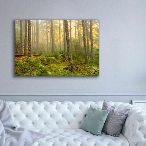 Image of 'Foggy Fire Woods' by Mike Jones, Giclee Canvas Wall Art,60 x 40