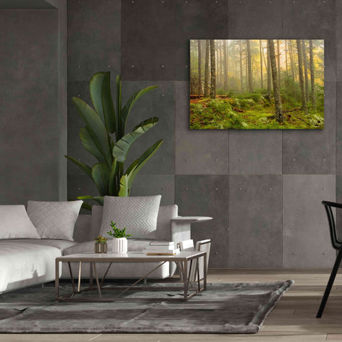 Image of 'Foggy Fire Woods' by Mike Jones, Giclee Canvas Wall Art,60 x 40