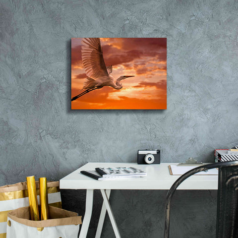 Image of 'Heron Sunset' by Mike Jones, Giclee Canvas Wall Art,16 x 12