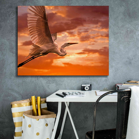 Image of 'Heron Sunset' by Mike Jones, Giclee Canvas Wall Art,34 x 26