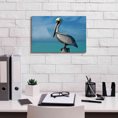 Image of 'Pelican' by Mike Jones, Giclee Canvas Wall Art,18 x 12