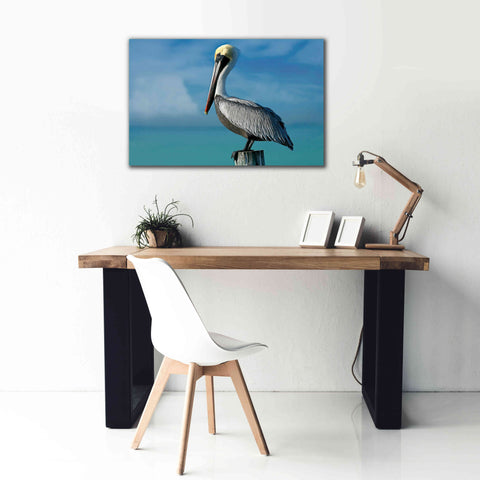 Image of 'Pelican' by Mike Jones, Giclee Canvas Wall Art,40 x 26
