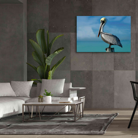 Image of 'Pelican' by Mike Jones, Giclee Canvas Wall Art,60 x 40