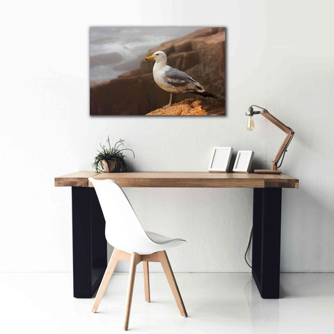 Image of 'Seagull' by Mike Jones, Giclee Canvas Wall Art,40 x 26