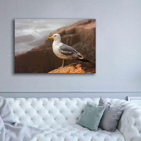 Image of 'Seagull' by Mike Jones, Giclee Canvas Wall Art,60 x 40