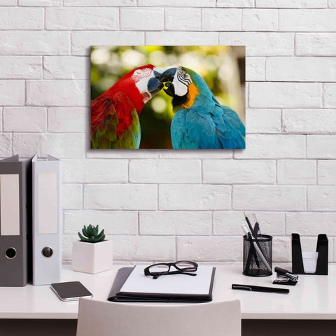 Image of 'The Kiss' by Mike Jones, Giclee Canvas Wall Art,18 x 12