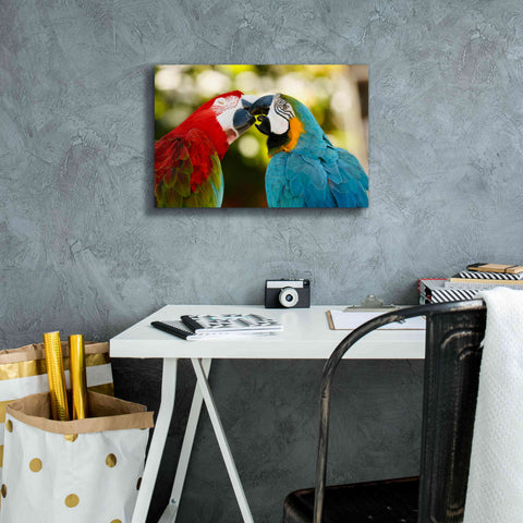 Image of 'The Kiss' by Mike Jones, Giclee Canvas Wall Art,18 x 12