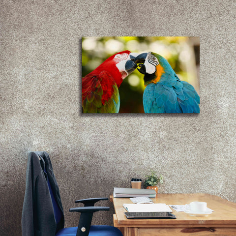 Image of 'The Kiss' by Mike Jones, Giclee Canvas Wall Art,40 x 26