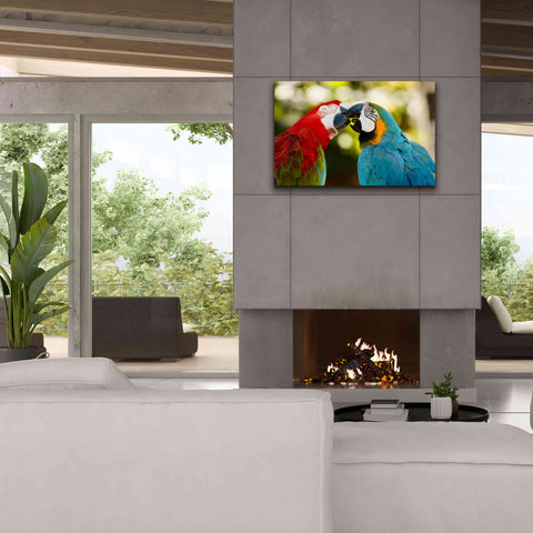 Image of 'The Kiss' by Mike Jones, Giclee Canvas Wall Art,40 x 26