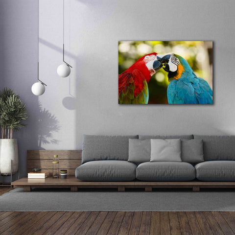 Image of 'The Kiss' by Mike Jones, Giclee Canvas Wall Art,60 x 40