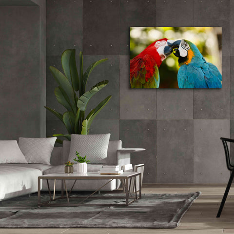 Image of 'The Kiss' by Mike Jones, Giclee Canvas Wall Art,60 x 40