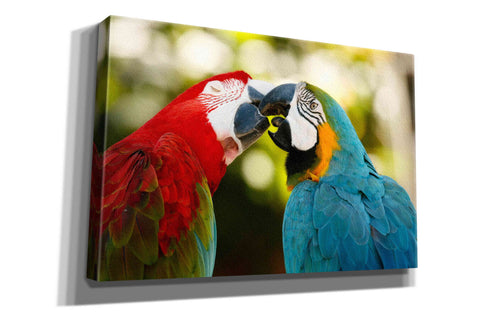 Image of 'The Kiss' by Mike Jones, Giclee Canvas Wall Art