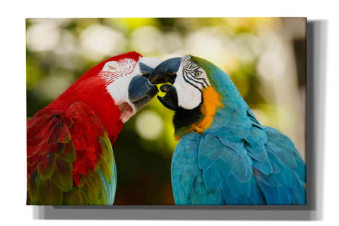 Image of 'The Kiss' by Mike Jones, Giclee Canvas Wall Art