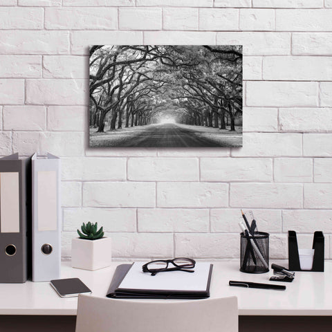 Image of 'Wormsloe Inf Light' by Mike Jones, Giclee Canvas Wall Art,18 x 12