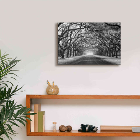 Image of 'Wormsloe Inf Light' by Mike Jones, Giclee Canvas Wall Art,18 x 12