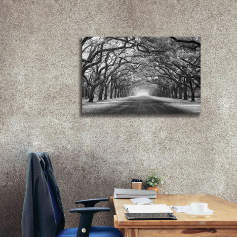 Image of 'Wormsloe Inf Light' by Mike Jones, Giclee Canvas Wall Art,40 x 26