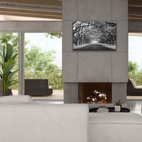 Image of 'Wormsloe Inf Light' by Mike Jones, Giclee Canvas Wall Art,40 x 26