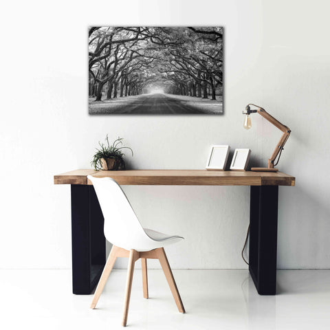 Image of 'Wormsloe Inf Light' by Mike Jones, Giclee Canvas Wall Art,40 x 26