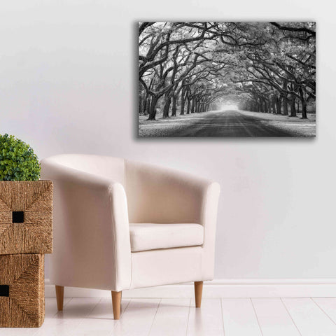 Image of 'Wormsloe Inf Light' by Mike Jones, Giclee Canvas Wall Art,40 x 26