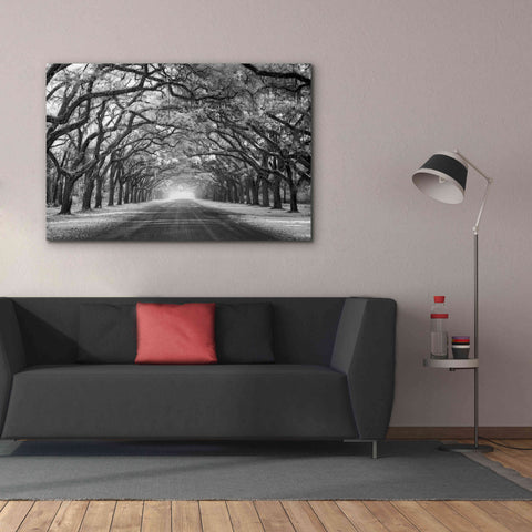 Image of 'Wormsloe Inf Light' by Mike Jones, Giclee Canvas Wall Art,60 x 40