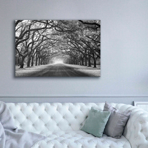 Image of 'Wormsloe Inf Light' by Mike Jones, Giclee Canvas Wall Art,60 x 40