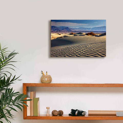 Image of 'Death Valley Mesquite Dunes' by Mike Jones, Giclee Canvas Wall Art,18 x 12