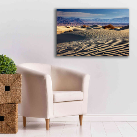 Image of 'Death Valley Mesquite Dunes' by Mike Jones, Giclee Canvas Wall Art,40 x 26