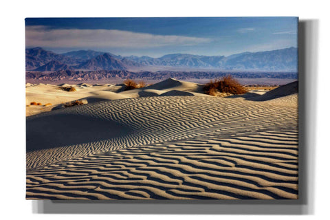 Image of 'Death Valley Mesquite Dunes' by Mike Jones, Giclee Canvas Wall Art
