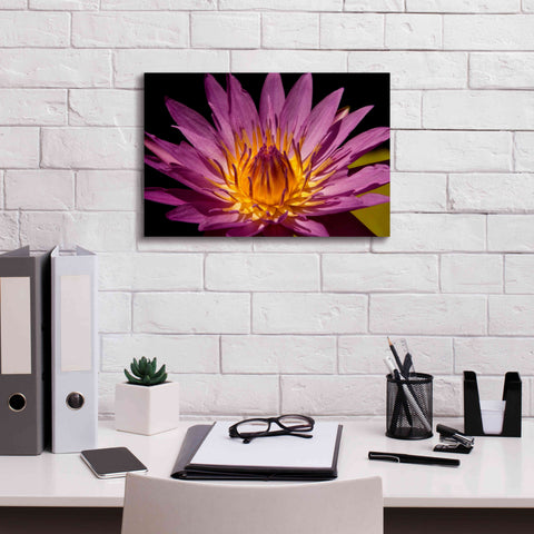 Image of 'Fairchild Gardens Lily' by Mike Jones, Giclee Canvas Wall Art,18 x 12