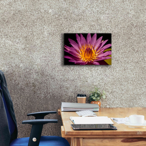 Image of 'Fairchild Gardens Lily' by Mike Jones, Giclee Canvas Wall Art,18 x 12