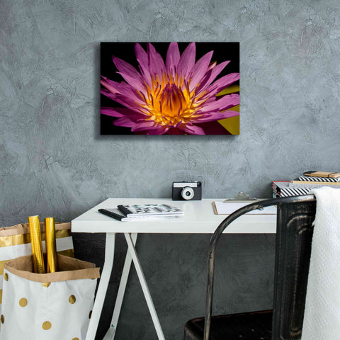 Image of 'Fairchild Gardens Lily' by Mike Jones, Giclee Canvas Wall Art,18 x 12