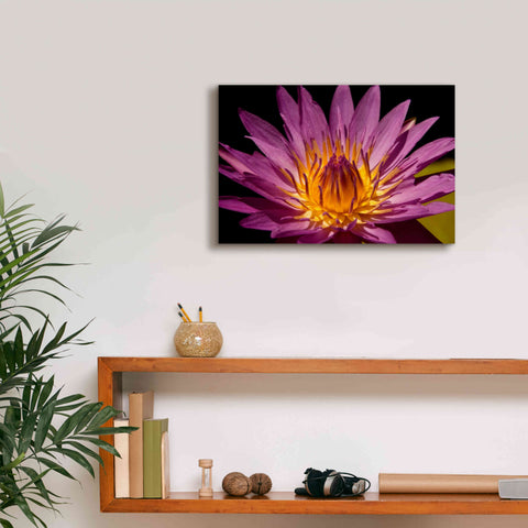 Image of 'Fairchild Gardens Lily' by Mike Jones, Giclee Canvas Wall Art,18 x 12