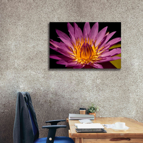 Image of 'Fairchild Gardens Lily' by Mike Jones, Giclee Canvas Wall Art,40 x 26