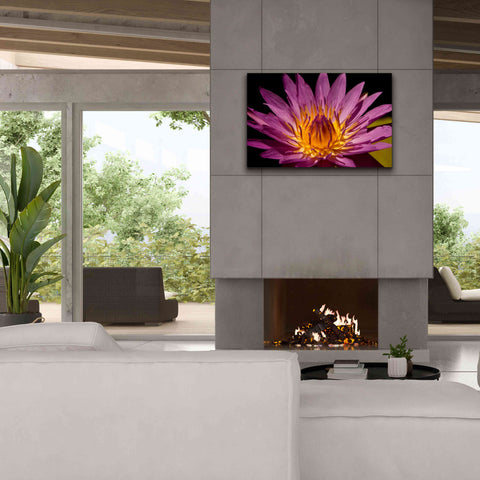 Image of 'Fairchild Gardens Lily' by Mike Jones, Giclee Canvas Wall Art,40 x 26