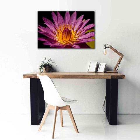 Image of 'Fairchild Gardens Lily' by Mike Jones, Giclee Canvas Wall Art,40 x 26