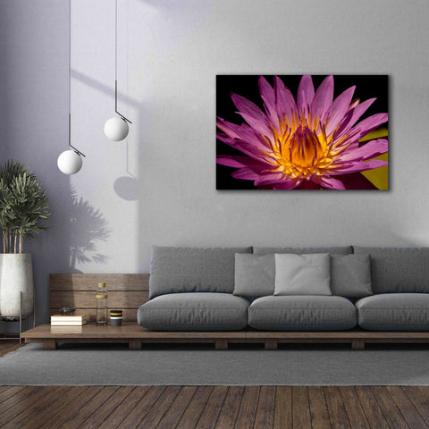 Image of 'Fairchild Gardens Lily' by Mike Jones, Giclee Canvas Wall Art,60 x 40