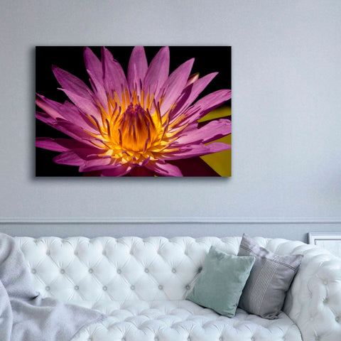 Image of 'Fairchild Gardens Lily' by Mike Jones, Giclee Canvas Wall Art,60 x 40