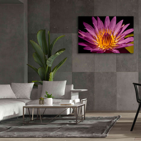 Image of 'Fairchild Gardens Lily' by Mike Jones, Giclee Canvas Wall Art,60 x 40