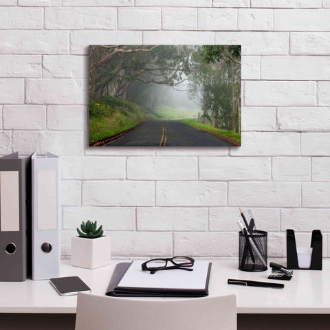 Image of 'Foggy Road near Dillon Beach' by Mike Jones, Giclee Canvas Wall Art,18 x 12
