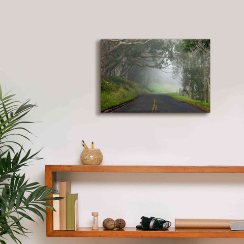 Image of 'Foggy Road near Dillon Beach' by Mike Jones, Giclee Canvas Wall Art,18 x 12