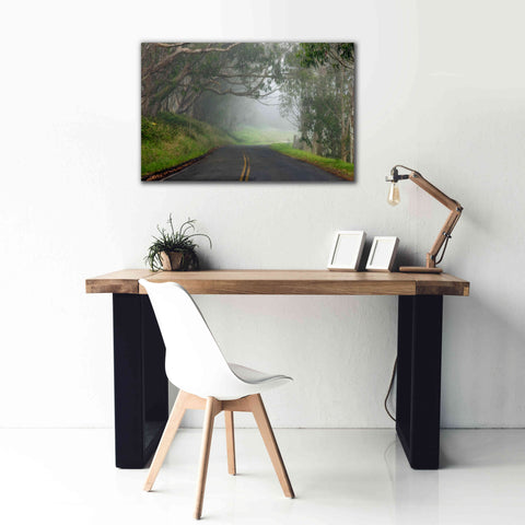 Image of 'Foggy Road near Dillon Beach' by Mike Jones, Giclee Canvas Wall Art,40 x 26