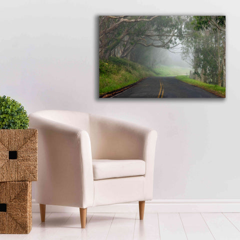 Image of 'Foggy Road near Dillon Beach' by Mike Jones, Giclee Canvas Wall Art,40 x 26